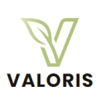 Valoris logo - Similar company to Osez Nu