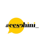 Ceschini Consultoria logo - Similar company to Inpacto Propaganda