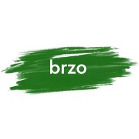 brzo.pay logo - Similar company to Hvala.Tips