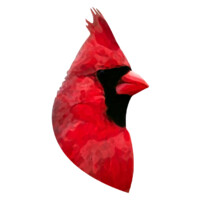 Cardinal Tissue Group logo - Similar company to Cardinal Tissue, Llc
