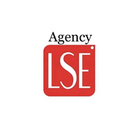 LSE Agency logo - Similar company to Protosens Llc