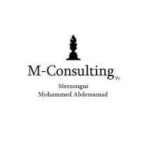 M-Consulting By Merzougui logo - Similar company to Dugusan