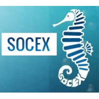SOCEX logo - Similar company to Dots - La Solution Parfaite Des Entreprises Qui Démarrent