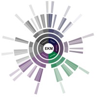 EKM IT Solutions logo - Similar company to Studor Llc.