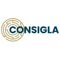 consigla logo - Similar company to Amicus Advies