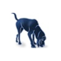 Assurance Forensic Accounting Cpas, Llc