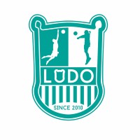 Ludo Volleybal logo - Similar company to Attract; Professionals