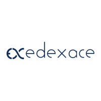 edexace logo - Similar company to Edexace