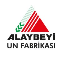 Alaybeyi Online logo - Similar company to Blueforce