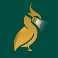 Eostrix Vision logo - Similar company to Adsfox.Com - The Smarter Way To Advertise