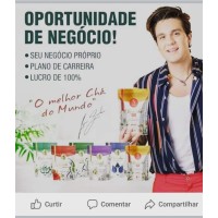 Chas Maravilha da Terra Revendedor logo - Similar company to Amaro Nunes Advocacia