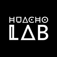 Huacho Lab logo - Similar company to Gesttop