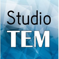 Studio TEM logo - Similar company to Themos
