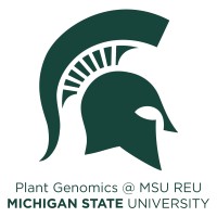 Michigan State University — Plant Genomics REU logo - Similar company to Global Initiative Of Academic Networks (Gian)