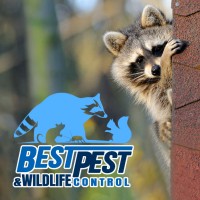 Best Pest & Wildlife Control logo - Similar company to Black Diamond Pest Control
