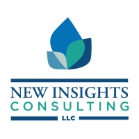 New Insights Consulting, LLC logo - Similar company to Bare Blends