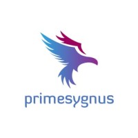 Prime Sygnus Consultancy Services Pvt Ltd logo - Similar company to Junior Toes International Preschool