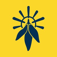 Cassavariant.co logo - Similar company to Xingyuan Industry Group