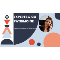 EXPERTS & CO PATRIMOINE logo - Similar company to 2Xl Invest
