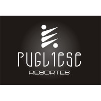 RESORTES PUGLIESE logo - Similar company to Resortes Esinco Sas