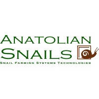 Anatolian Snails logo - Similar company to Mamas Snails