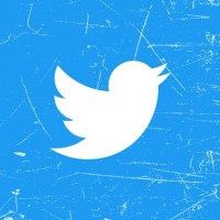 Twitter logo - Similar company to X