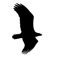 Raven Aerial Photography logo - Similar company to Aerial Robotics Club At Nc State