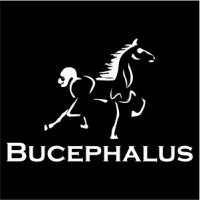 Bucephalus Holdings, LLC logo - Similar company to Bucephalus