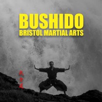 Bushido Bristol Martial Arts logo - Similar company to Les Cannes Du Luco