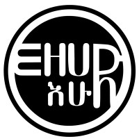 Ehud Ai Studio logo - Similar company to Incentone, A Welltok Company