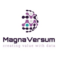 MagnaVersum logo - Similar company to Dg Press