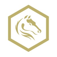 Darkhorse Emergency logo - Similar company to Subsurface Dynamics