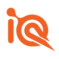 IQ Search logo - Similar company to Iqsearch
