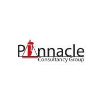 Pinnacle Consultancy Group logo - Similar company to Edumatric