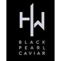 Holland & Wilde Company Limited logo - Similar company to Kiwi Smart Solutions 錡鈺智能
