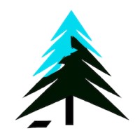Boreal Digital Solutions logo - Similar company to Caorda Web Solutions