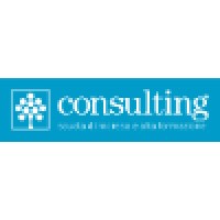 Consorzio Consulting