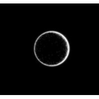 Singularity logo - Similar company to Protectline (Jv Orange-Groupama)