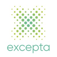excepta logo - Similar company to Ccit (Ccit)