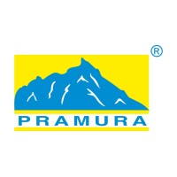 Pramura Software Private Limited logo - Similar company to Pactron Inc.