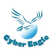 Cyber Eagle Solutions logo - Similar company to Web Startup Group