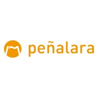 Peñalara Software logo - Similar company to Docucom