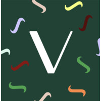 Viledge logo - Similar company to Atomic Ambition From Mostyn Wilson