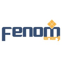 Fenom Enerji logo - Similar company to Antelsa Mühendislik