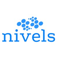 nivels GmbH logo - Similar company to Dizzweb Gmbh
