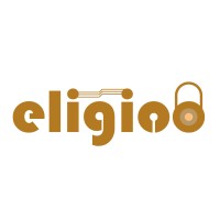 EliGico, Inc logo - Similar company to Toor Technologies