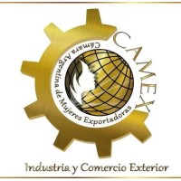 CAMEX logo - Similar company to Aimsea Group