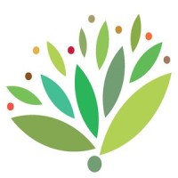 Spicemint.com