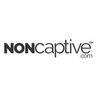 NonCaptive.com logo - Similar company to Techteems