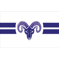 RAM Flooring logo - Similar company to Echidna Strip